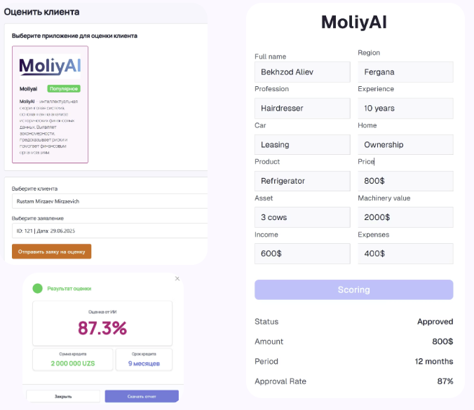 MoliyAI Credit Assessment Interface